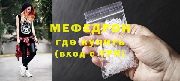 индика Дмитриев