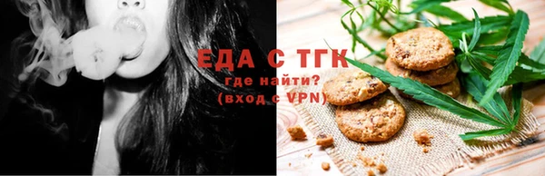 индика Дмитриев