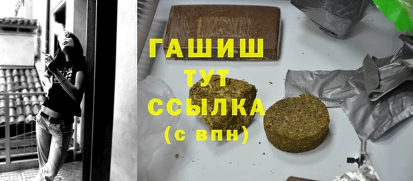индика Дмитриев