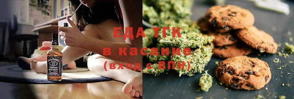 индика Дмитровск