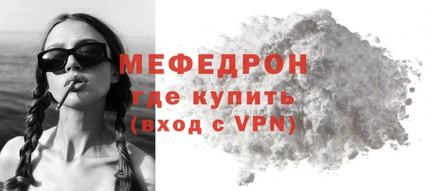 индика Дмитриев