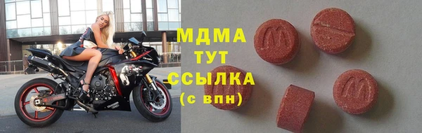 индика Дмитровск