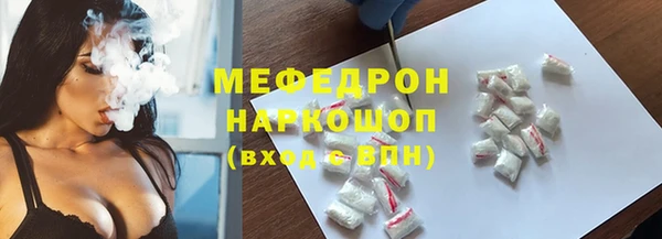 индика Дмитровск