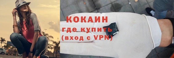 индика Дмитриев