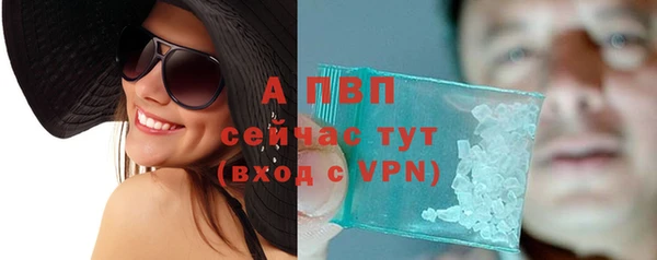 индика Дмитриев