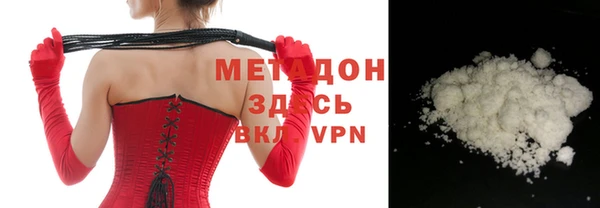 индика Дмитриев