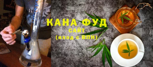 индика Дмитриев