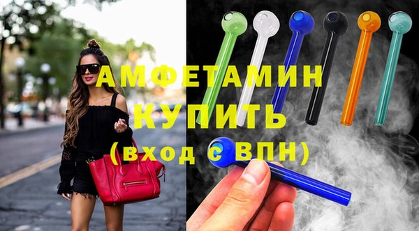 индика Дмитровск