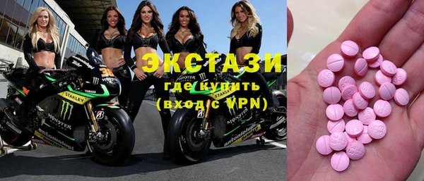 индика Дмитриев