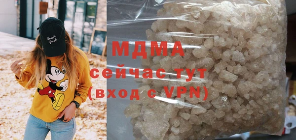 индика Дмитровск