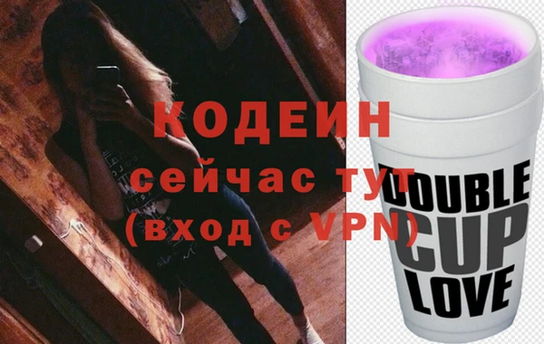 индика Дмитровск