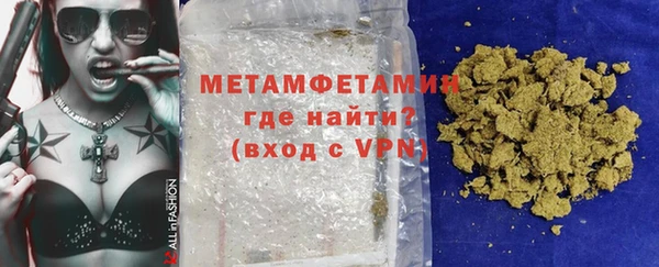 индика Дмитриев