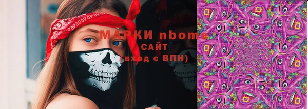 индика Дмитриев