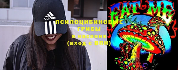 индика Дмитриев