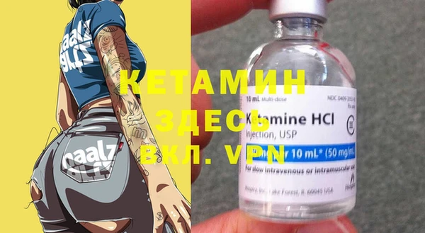индика Дмитровск