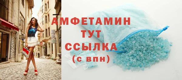 индика Дмитровск