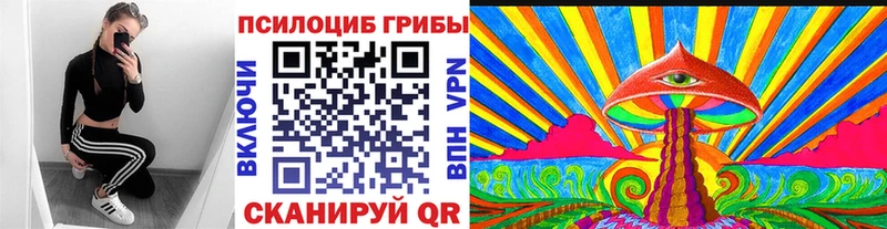 Псилоцибиновые грибы Psilocybine cubensis  Каргат 