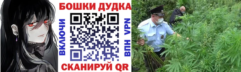Шишки марихуана MAZAR ссылка на мегу вход Каргат